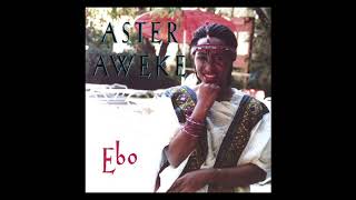 Aster Aweke  Ebo Full Album [upl. by Ahsiekan]