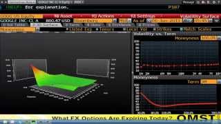 Bloomberg Training Analyzing Equity Options Google Inc  wwwfintutecom [upl. by Etnahs]