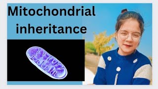 mitochondrial inheritance [upl. by Nelson]