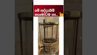 මේකට නං කමෙන්ට් කරන්නම ඕනේ Pata kurullo  Lalai lilai lai [upl. by Sension]