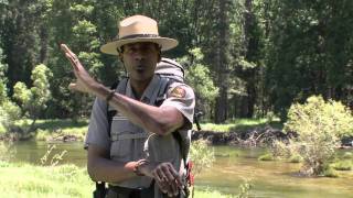 Easy Yosemite Valley Day Hikes [upl. by Paterson]