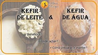 Kefir de leite e de água Benefícios onde achar como preparar e manter [upl. by Vergil]