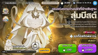 สุ่ม คุกกี้มิสติกฟลาวร์  สุ่ม คุกกี้แฮแทเมฆาลงย้อนหลัง  CookieRun Kingdom [upl. by Itnaihc]