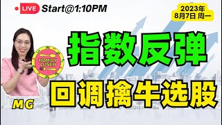 马股投资  指数反弹，回调擒牛选股法 8月7日 Homily lunch 马股直播 bursamalaysia stockmarket 手套股 地产股 [upl. by Nod]