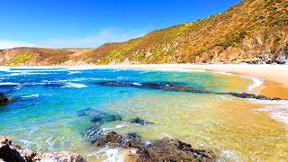 Oasis of Calm 3 Hours of The Most Beautiful Beach in California 4K Video [upl. by Ianej]