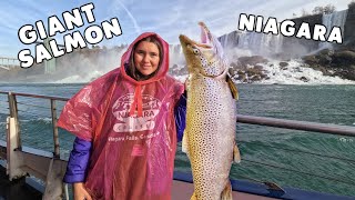 One Day at Niagara Falls Canada  Fishing Salmon at Niagara  Attractions by Waterfalls [upl. by Neral]