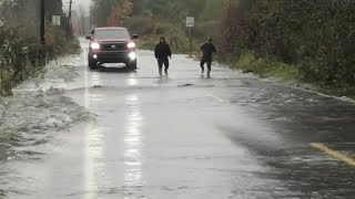 Salmon cross flooded road in Washington state  FOX 13 Seattle [upl. by Ashman]