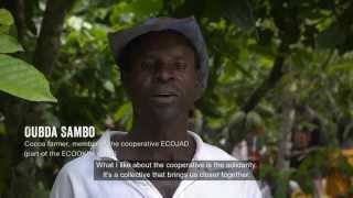 Life on a Fairtrade Cocoa Farm [upl. by Ysus]