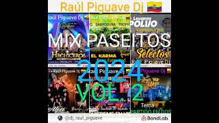 MIX PASEÍTOS BAILABLES 2024 VOL 2  Raúl Piguave Dj Mezcladito 🇪🇨 [upl. by Johann]