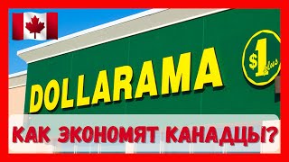 Dollarama  товары для вашего канадского дома по смешным ценам канада жизньвканаде [upl. by Eaver885]