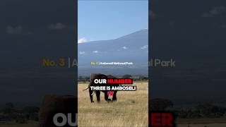 Amboseli National Park Pros and Cons shorts safari travel kenya amboseli africa [upl. by Itteb]