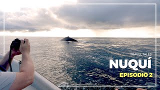 Nuquí Colombia  Episodio 2  Avistamiento de Ballenas [upl. by Ahseim]