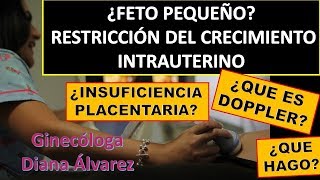 PROBLEMAS DE CRECIMIENTO FETAL POR GINECOLOGA DIANA ALVAREZ [upl. by Samoht]