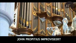 John Propitius  Martinikerk Bolsward [upl. by Carma]