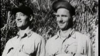 quotThe Coast Watchersquot  Guadalcanal 1942 Part 2 of 2 [upl. by Bois]