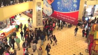 Thomas Aquinas College Christmas Choral Flash Mob 2015 [upl. by Downs582]