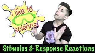 StimulusResponse Reactions [upl. by Nnair]