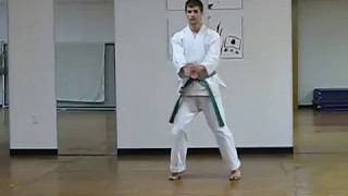 Kata Empi Roppo karate shito ryu [upl. by Busby]