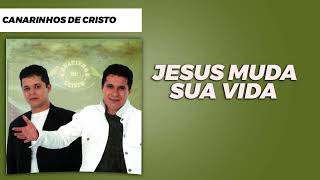 Canarinhos de Cristo  Jesus Veio Aqui  DVD 25 Anos de Louvor [upl. by Ainimre984]