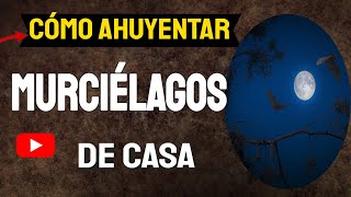 🔴 Cómo AHUYENTAR MURCIÉLAGOS de Casa ✅ [upl. by Rubliw292]