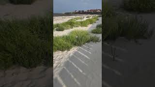 Baltrum Strand am Hafen Westpromenade beach travel baltrum nordsee ostfriesland deutschland [upl. by Arnon93]