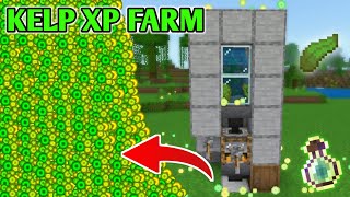 How To Make an Easiest KELP XP Farm in Minecraft Bedrock Survival World 120 [upl. by Cary386]