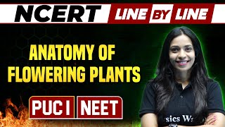 ANATOMY OF FLOWERING PLANTS  NCERT Line By Line  Botany  PUC 1  NEET [upl. by Yrannav]