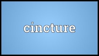 Cincture Meaning [upl. by Ferren936]