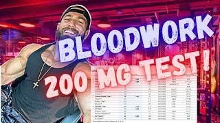 WHAT TO EXPECT ON 200 mg TESTOSTERONE per week  Bloodwork and How I feel after 4 months on 200mg [upl. by Haizek]