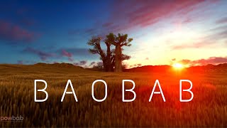 The Majestic Baobab Tree  Learn Facts about Tree and Baobab Fruit [upl. by Notliw]