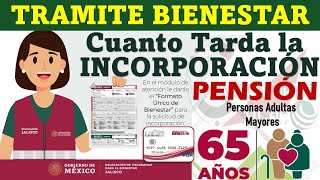 🚨 PENSIÓN BIENESTAR ¿Cuánto Tiempo Tarda El TRAMITE de INCOPORRACIÓN al PROGRAMA [upl. by Hnahc]