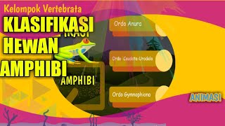 Klasifikasi Amphibi  Hewan Vertebrata Bagian 2 [upl. by Meade]