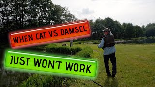 Fly Fishing  Cat Vs Damsel and what to do when the trout wont join in [upl. by Eila]