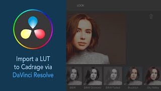 Import a LUT to Cadrage via DaVinci Resolve [upl. by Lamprey]