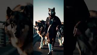 Wolfpack 🐺😈🐺 wolfpack direwolves wolf wolves pets pet dogs dog fyp foryou reels [upl. by Illyes]