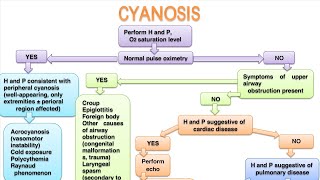 CYANOSIS In pediatrics [upl. by Anh]