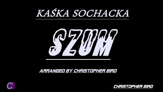 KAŚKA SOCHACKA  SZUM KARAOKEINSTRUMENTALarranged by Christopher Bird [upl. by Acinehs]