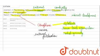 Assertion  In Pleurobrachia eight comblike ciliary plates called cmob plates are present [upl. by Nirrep408]