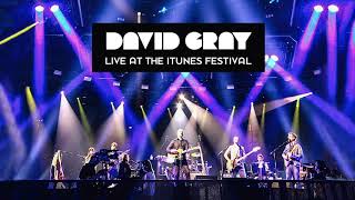 David Gray  Fugitive  Live At The iTunes Festival 2014 [upl. by Eremihc]