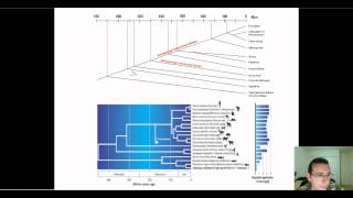 Molecular Clocks Part 2 [upl. by Westney]