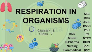 Respiration in Organisms Explained  Class 7 Science Chapter 6 [upl. by Eneliak]