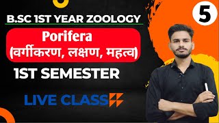 Porifera bsc 1st year in hindi  BSc 1st year zoology chapter 1 in hindi  bsc 1st year zoology [upl. by Assetak]