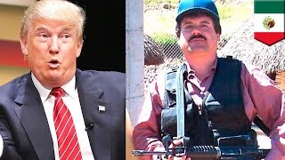 Le mafieux mexicain El Chapo offre 100 M pour Donald Trump mort ou vif [upl. by Helmer764]