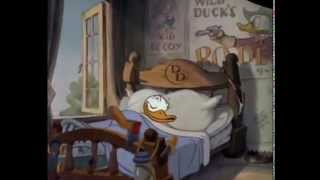 Donald Duck Cartoons Full Episodes [upl. by Daub323]