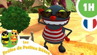 DRÔLE DE PETITES BÊTES  1 Heure   Compilation 01 [upl. by Geis]