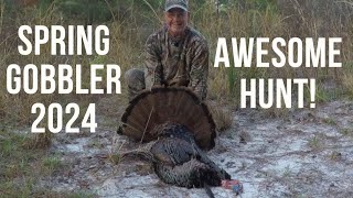 Spring Gobbler Hunt Public Land 2024 [upl. by Osher857]