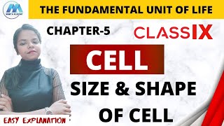 CELL SHAPE  CELL SIZE  EASY EXPLANATION  CHAPTER 5  CELL  CLASS 9  BIOLOGY  HINDI [upl. by Baskett]