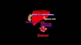 Amino Acids amp Energy output Metabolism Made Easy [upl. by Sadowski]