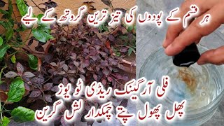 100 Organic Liquid Fertilizer for Plant Growth  Phal Phool aur Pattay Chamakdaar amp Healthy [upl. by Safire374]