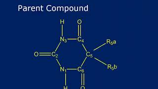 SAR of Barbiturates [upl. by Gilmore]